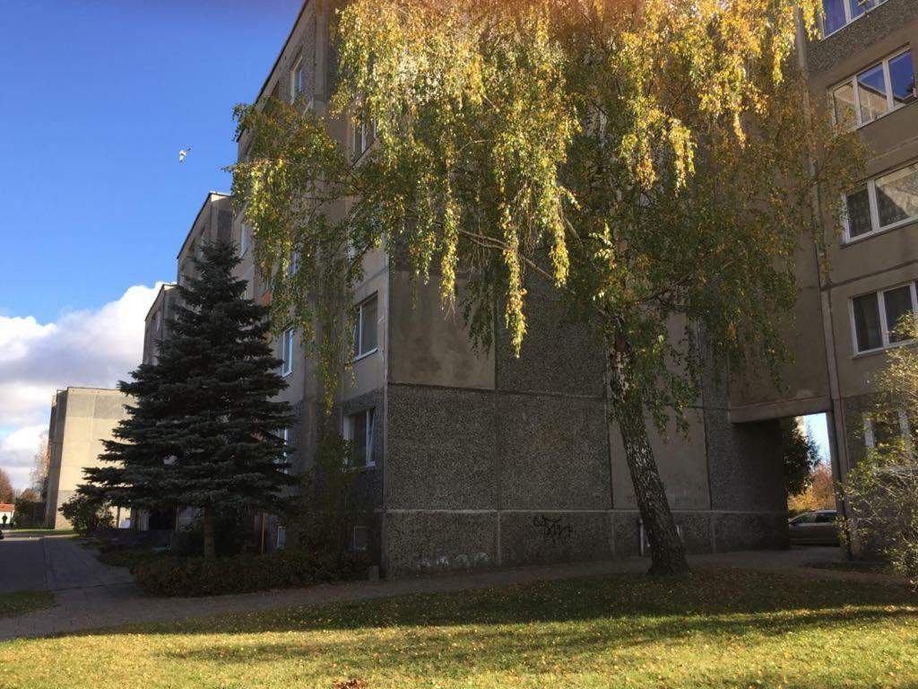 Apartamentai Dainų Siauliai  Bagian luar foto